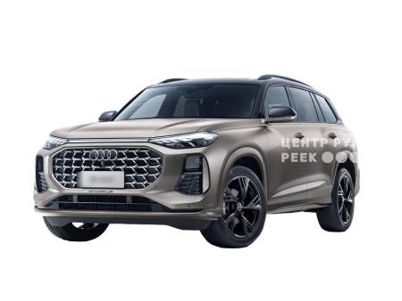 Ауди Q6 1 SUV